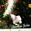 Armless John, Victor Elias, Hyago Oliveira & Vinicius Furlan - Viralata - Single